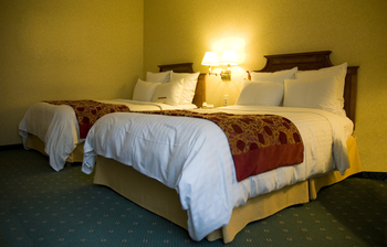 Cum se stabilesc standardele de calitate pentru hotelurile din Europa?