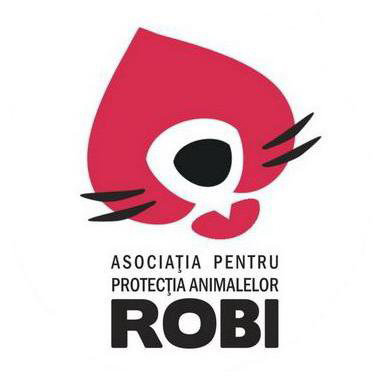 Implica-te si tu in Asociatia pentru protectia animalelor ROBI