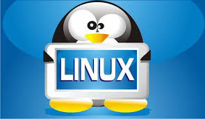 Nu alegeti Linux decat dupa ce va familiarizati bine cu acest sistem de operare