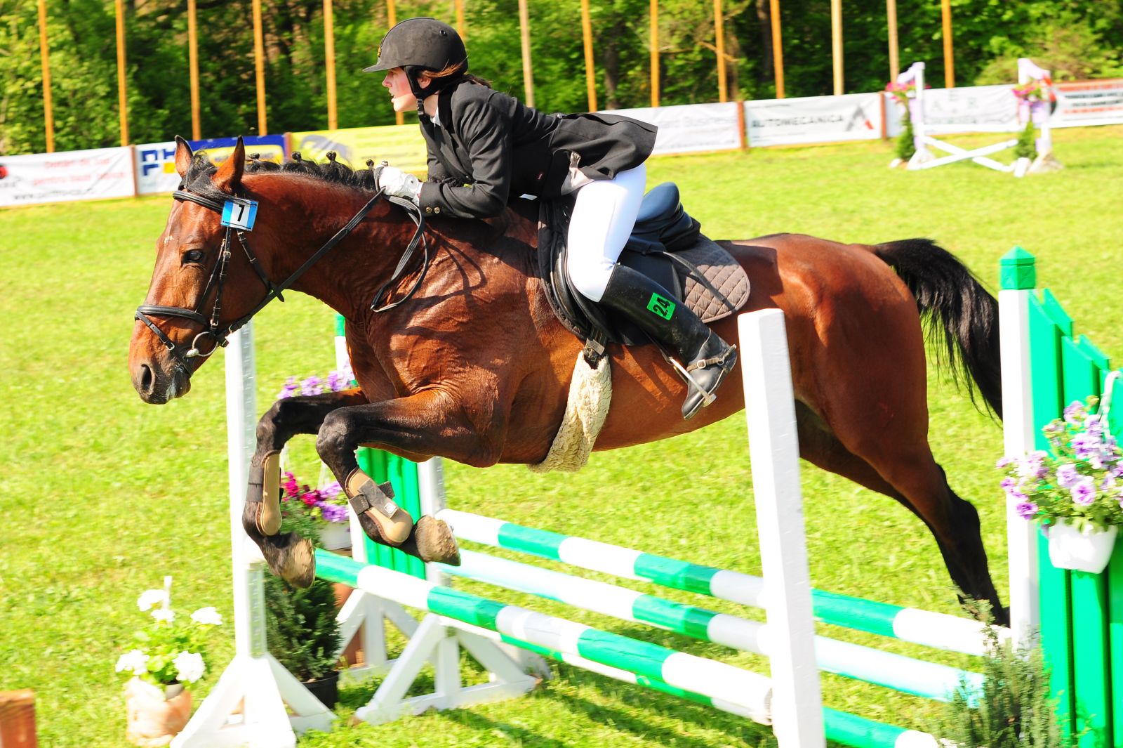 Concurenti din 19 tari au participat la  Transylvania Horse Show 2014